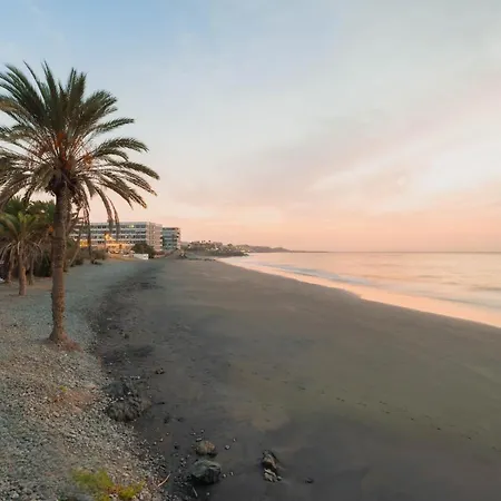 Delightful Front Apartment. Sunrise Views! Apartment *